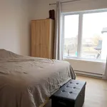  appartement avec 5 chambre(s) en location à Saint-Hyacinthe