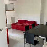 Rent 5 bedroom apartment of 150 m² in Siena