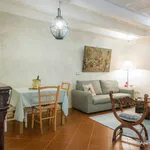 Rent 1 bedroom apartment of 45 m² in Florence