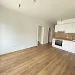 Rent 3 bedroom apartment of 50 m² in Graz