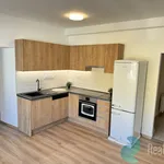 Rent 4 bedroom apartment of 115 m² in České Budějovice