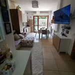 Rent 2 bedroom apartment of 55 m² in Rome