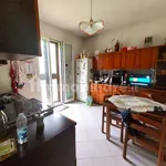 Rent 4 bedroom apartment of 90 m² in Bologna