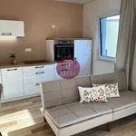 Rent 1 bedroom apartment of 30 m² in Szczecin