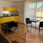 Rent 1 bedroom apartment of 35 m² in Stuttgart