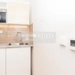 Rent 1 bedroom apartment of 39 m² in Capital City of Prague