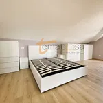 Rent 2 bedroom apartment of 45 m² in Roma