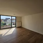 Rent 1 bedroom apartment in Leuven