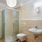 Rent 1 bedroom apartment of 34 m² in Hluboká nad Vltavou