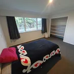 Rent 1 bedroom house in Tauranga