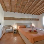 Rent 1 bedroom apartment in Florence