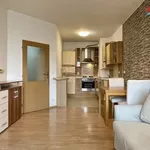 Rent 2 bedroom apartment of 53 m² in Praha