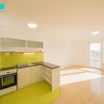 Rent 1 bedroom apartment of 33 m² in Olomouc