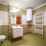 Rent 3 bedroom apartment of 60 m² in České Budějovice