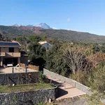 Villa in affitto a Zafferana Etnea Catania - zona Fleri