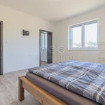 Rent 1 bedroom house of 210 m² in Veselí nad Lužnicí