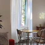 Rent 1 bedroom apartment in Rome