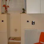 Rent 2 bedroom apartment of 28 m² in Perugia