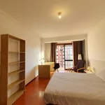 Alugar 5 quarto apartamento em Coimbra