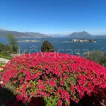 Rent 1 bedroom apartment of 45 m² in Stresa