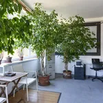 Rent 1 bedroom apartment in Rome