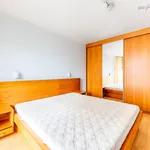 Pronajměte si 3 ložnic/e byt o rozloze 85 m² v Prague