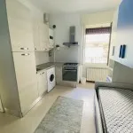 Rent 1 bedroom apartment of 40 m² in Milano