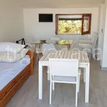 Rent 2 bedroom apartment of 40 m² in Castellabate