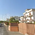 Rent 2 bedroom apartment of 40 m² in Rome