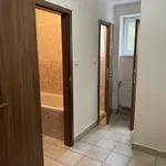 Rent 3 bedroom apartment in Plzeň