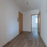 Rent 2 bedroom apartment of 58 m² in Chemnitz