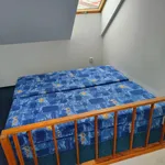 Rent 2 bedroom apartment in Břeclav