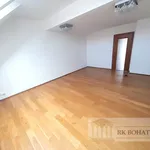 Rent 4 bedroom apartment of 108 m² in Prague