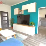 Rent 4 bedroom apartment of 73 m² in Nížkovice