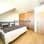 Rent 2 bedroom apartment of 63 m² in České Budějovice