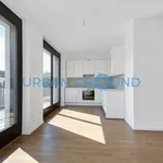 Miete 3 Schlafzimmer haus von 83 m² in Berlin