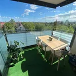 Rent 1 bedroom apartment in munich