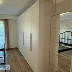 Rent 2 bedroom house of 50 m² in Milan