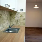 Rent 3 bedroom apartment of 76 m² in Capital City of Prague