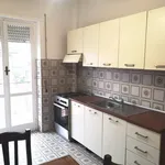 Rent 3 bedroom apartment of 100 m² in Roma