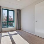 Rent 4 bedroom house of 126 m² in Breda