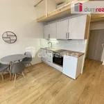 Rent 1 bedroom apartment of 42 m² in Praha