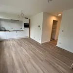 Huur 3 slaapkamer appartement van 47 m² in Boschpoort