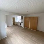 Rent 1 bedroom apartment of 49 m² in Ølgod