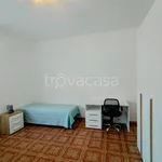 Rent 3 bedroom apartment of 80 m² in Torino