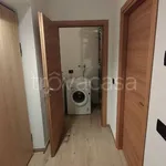 Rent 2 bedroom apartment of 50 m² in Dimaro Folgarida