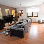 Rent 1 bedroom house of 200 m² in Ostrava