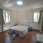 Rent 4 bedroom house of 150 m² in Roma