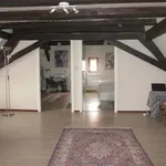 Rent 3 bedroom apartment of 66 m² in Wissembourg