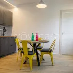 Rent 2 bedroom apartment of 65 m² in Firenze